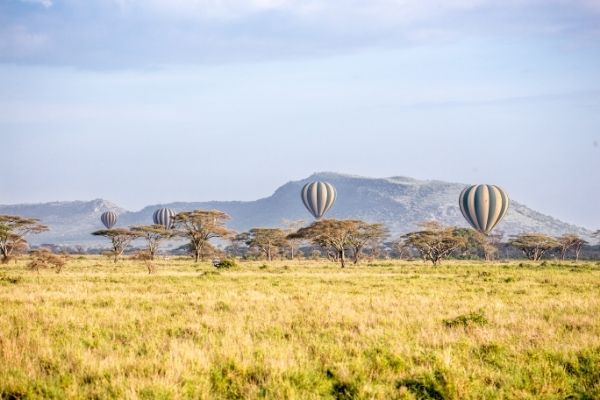 hot air balloons in serengeti 
