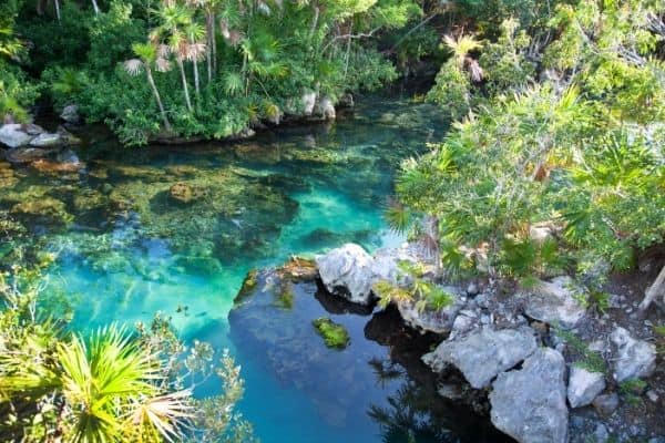 clear water in a cenote, family activities in cancun, places to go in cancun, things to do in cancun, unique things to do in cancun