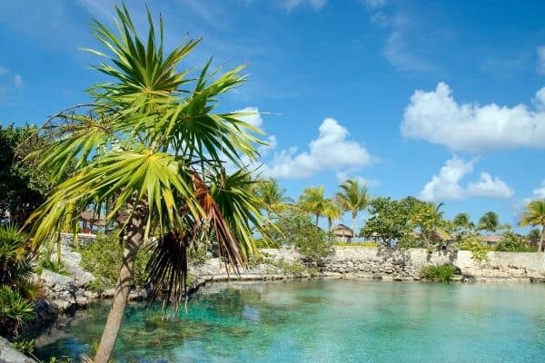 lagoon in chankanaab, things to do in riviera maya