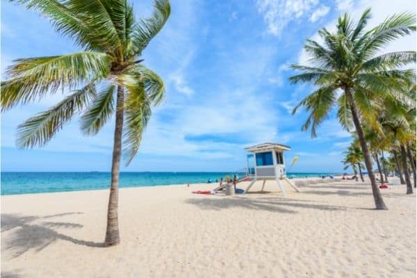 palm trees at fort lauderdale beach, things to do in fort lauderdale, things to do in fort lauderdale with kids, fort lauderdale attractions