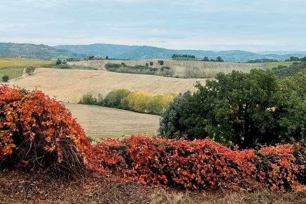 rolling hills of umbria, one day in perugia 