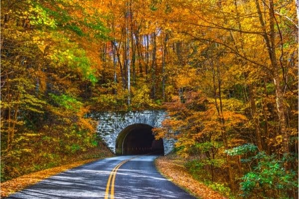 tunnel in blue ridge parkway, leaves changing colors, where to stay in asheville nc, where to stay in asheville

