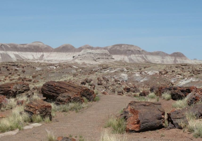 trail in petrified forest national park, arizona wonders, arizona natural attractions