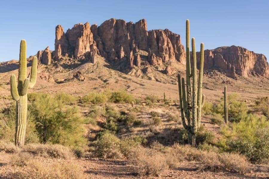 cactuses near the superstition mountains, most scenic places in arizona, arizona natural wonders, superstition mountains