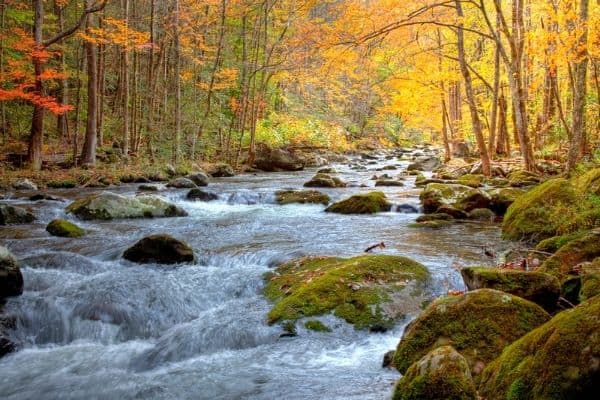 creek in great smoky mountains national park, day trips from asheville nc, asheville itinerary, when to visit asheville nc