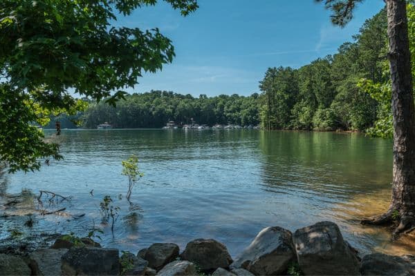 lake lanier in the summer, fun day trips from atlanta, day trip from atlanta, best day trips from atlanta