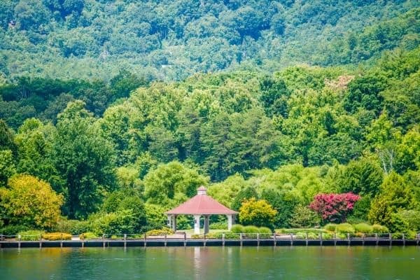 summer in lake lure, green trees, asheville day trips 