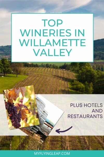 willamette wineries pin