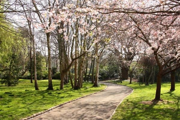trail through merrion square park, best area to stay in dublin