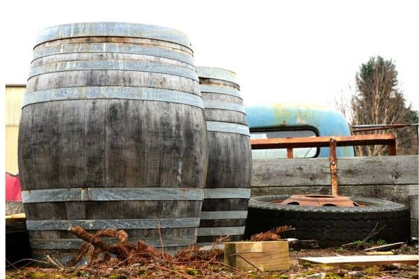 wine barrels, four graces pinot noir