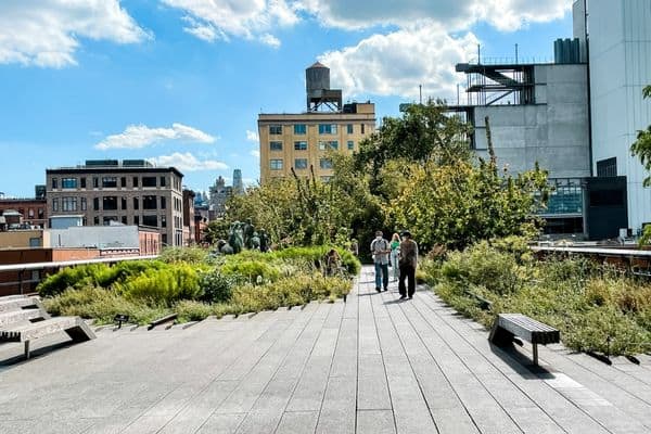 park and builings in the high line