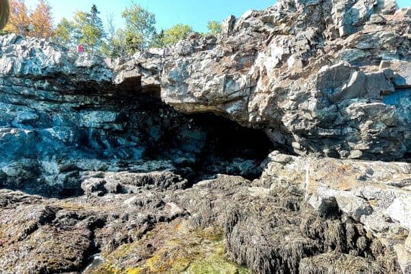 sea anemone cave, best time to visit acadia national park