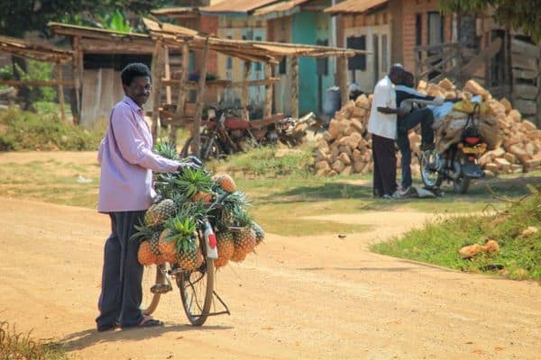 man selling pineapple on bike, living in arusha tanzania