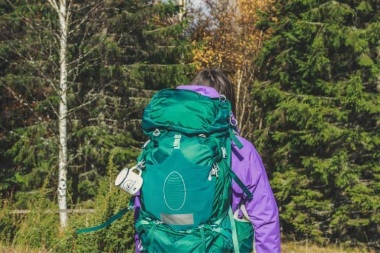 7 Best Traveling Backpacks for Women Under $350 (2022 Buyer’s Guide)