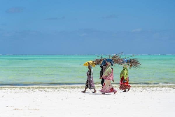 women carrying sticks walking on beach, accommodation in zanzibar
