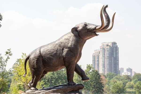 elephant statue in dowtown denver, areas in denver, denver where to stay, where to stay in downtown denver