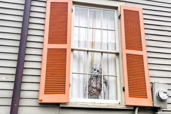 ghoul in a window, halloween decoration, ghoul in a window with orange shutters, female ghoul in a window