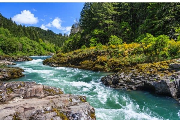 river in cascades national park, best day trips from seattle, road trips from seattle