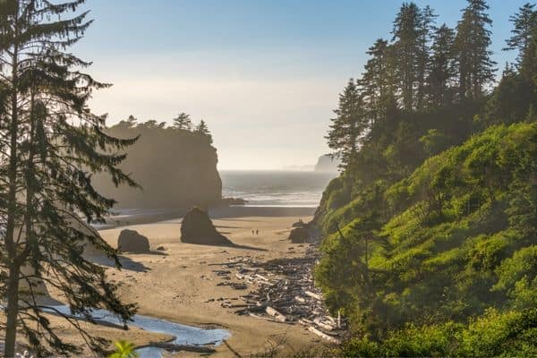 shorelines in olympic national park, beach area, national parks in washington