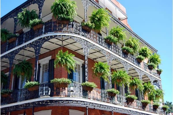 new orleans hotels, plants hanging from balcony, new orleans accommodation, hotels to stay in new orleans near bourbon street 