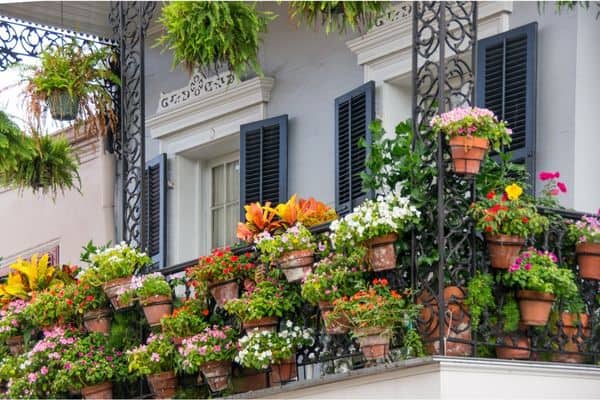 potted plants on new orleans home, places to stay in new orleans