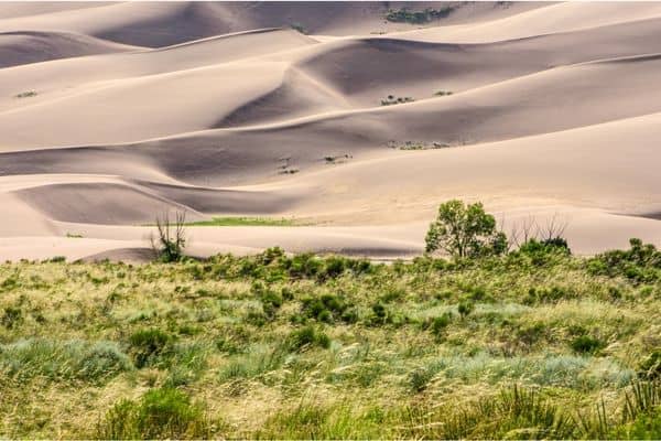 sand dunes national park, grassy land before the dunes, sand dunes colorado, national park colorado