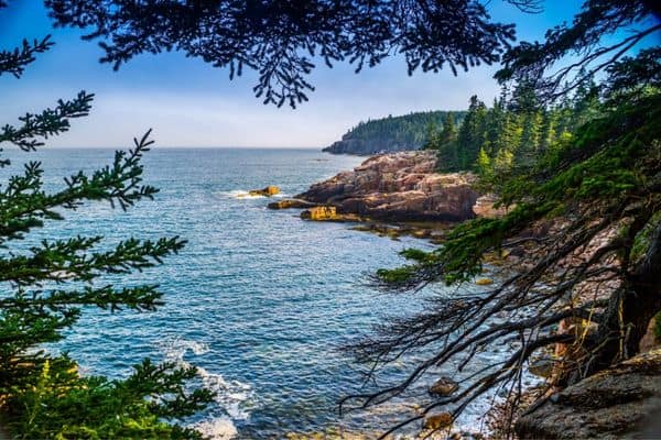 ocean path trail hiking in acadia national park, view through the trees, rocky coastline