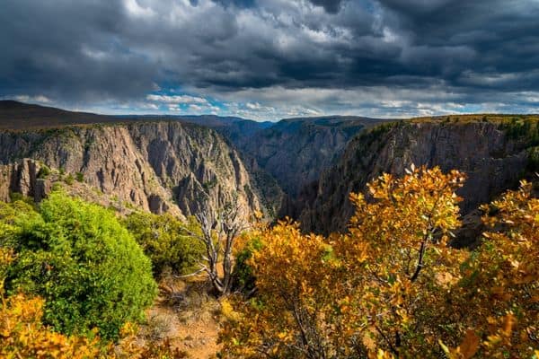 black canyon national park, orange leaves on tree, cloudy skies, view at the edge of the canyon, black canyon colorado