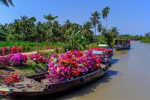 flowers on a boat in the mekong delta 