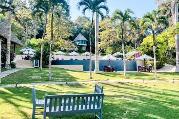palm trees, building in the distance, green lawn, bench
