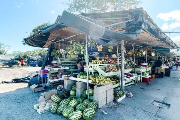 market with fruit and vegetable sellers in san ignacio, things to do in san ignacio, san ignacio belize