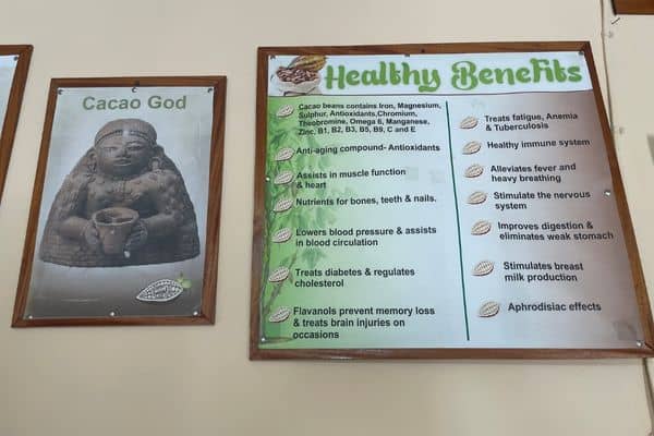 health benefits of chocolate sign, sign of the cocoa god