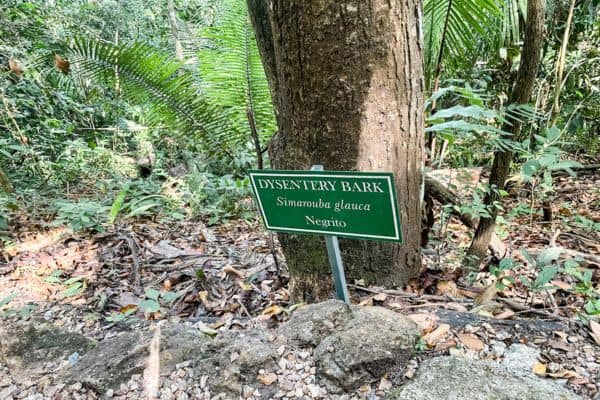 green sign showing where the dysentary bark is 