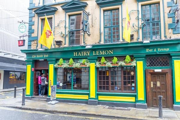 hairy lemon pub, best pub food dublin, famous dublin pubs, oldest pub in dublin, best pubs in dublin