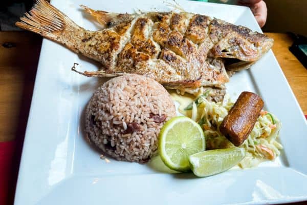 my food at elvi's restaurant, whole grilled fish with rice and a small salad 