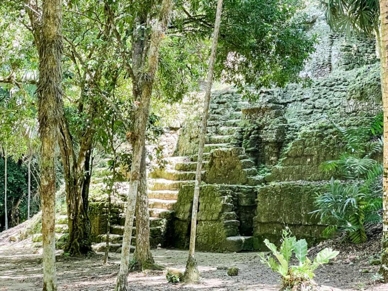 green shaded area in the temple complex, moss growing on the steps, visit tikal, how to get to tikal