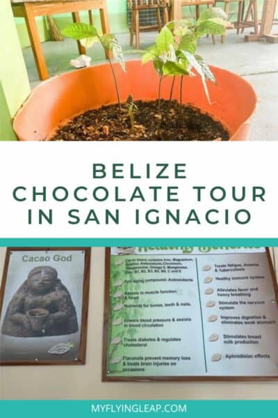 chocolate belize tour pin