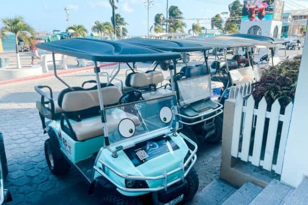 row of golf carts parked, palm trees and ocean in the background 