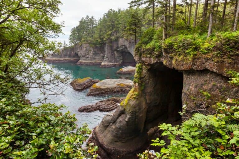 6 Best Short Hikes of Olympic National Park & Other Top Things to Do