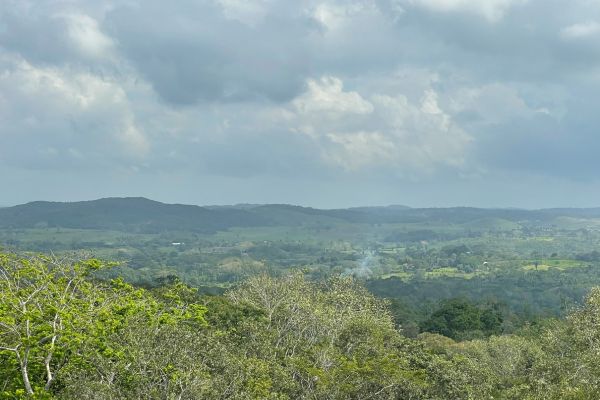 cloudy skies, view of the forest sorrounding the mayan ruins, aeriel shot