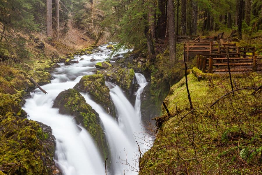 hiking in olympic national park, waterfalls, waterfall with lookouts.