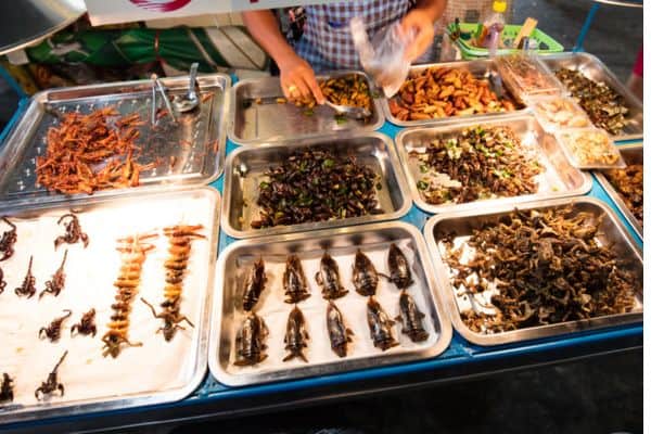 bangkok street food, insects, unusual street food, sightseeing in bangkok, where to go in bangkok