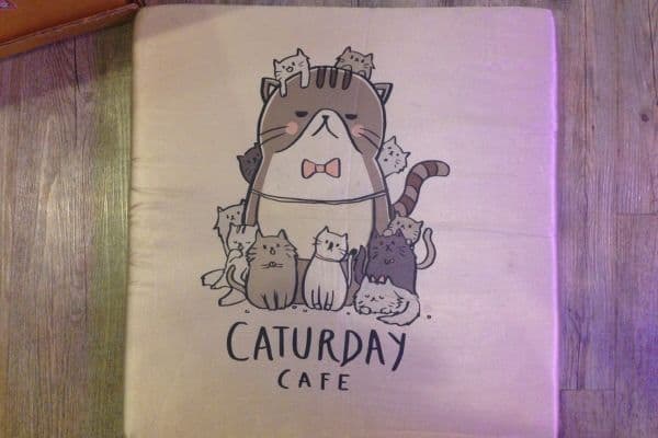 cat cafe coaster, things to do in bangkok, unique things to do in bangkok