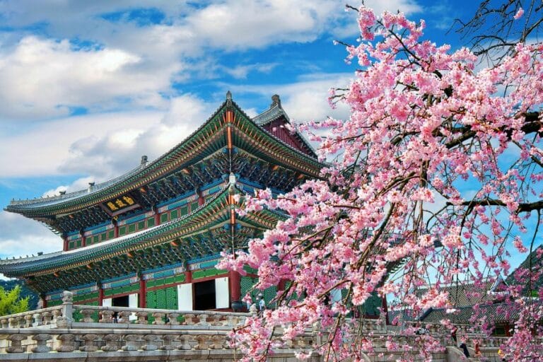 12 Top Things to Do in Seoul 