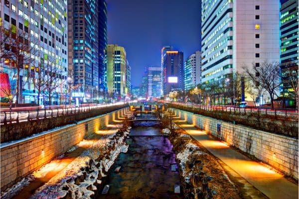 where to stay in seoul, lit up buildings, nightime view of the city, barren trees with no leaves