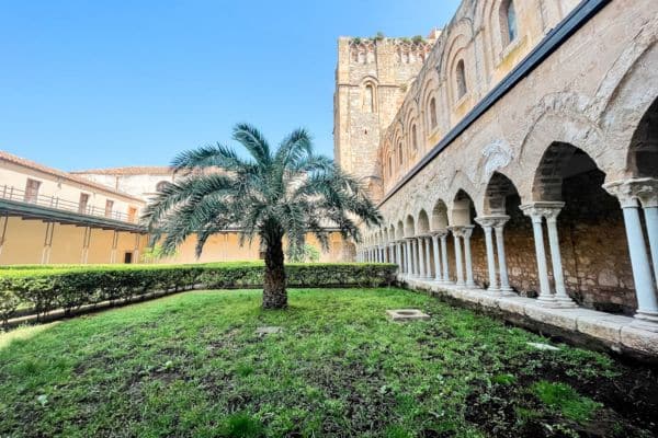 grass with palm tree in the middle, outside of the cathedral courtyard, things to do in cefalu, museo mandralisca 