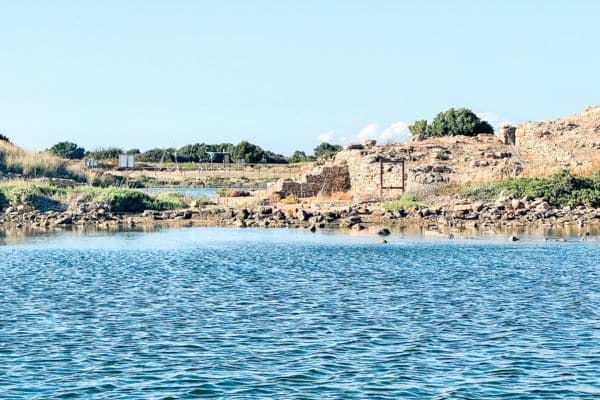 view from the marsala salt pans boat tour, calm water, grassy and sandy area in the distance