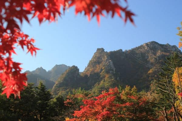 mount seorak in the distance, red leaves on the tree, best day trips from seoul, seoul day trips