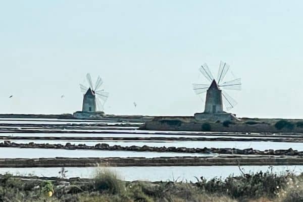 rows of water with two windmills in the background, trapani salt, what are salt pans, what is a salt pan