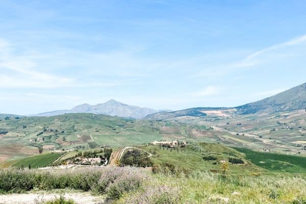 complete view of the beauty of segesta, mountains in the distance, grassy fields where you can see all the structures below 